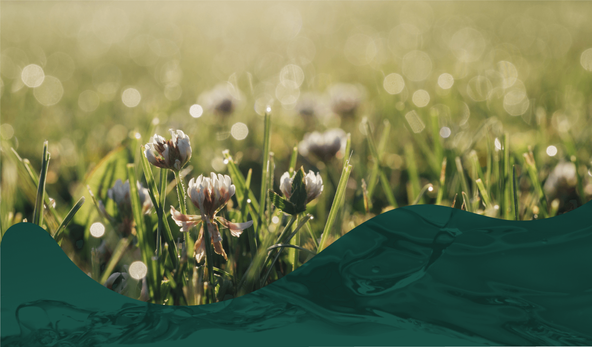 1756265259458858.png 1-1.png