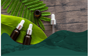 维创投资创新天然芳香产品，推“澳门品牌”万薇莎