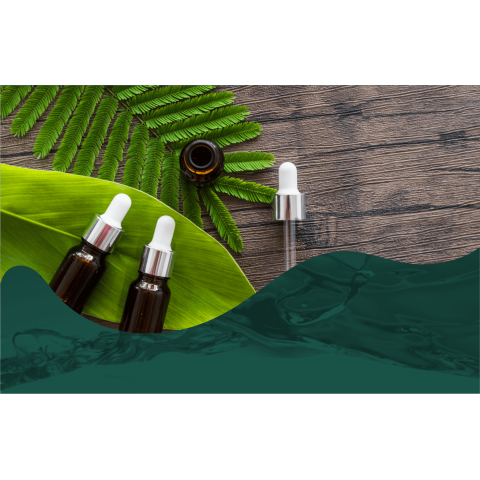 维创投资创新天然芳香产品，推“澳门品牌”万薇莎