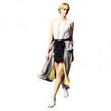 Top and half pleated skirt