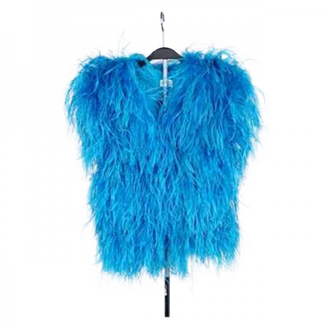 Feather Garment (Blue)
