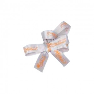 Ribbon Accessories (Gray Ribbon with Silver Color of the Company Logo)