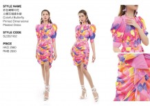 Colorful Butterfly Printed Dimensional Pleated Dress